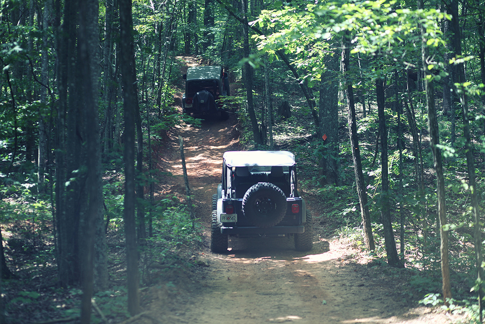 Jeeps on Off-Road Trail (High Res)