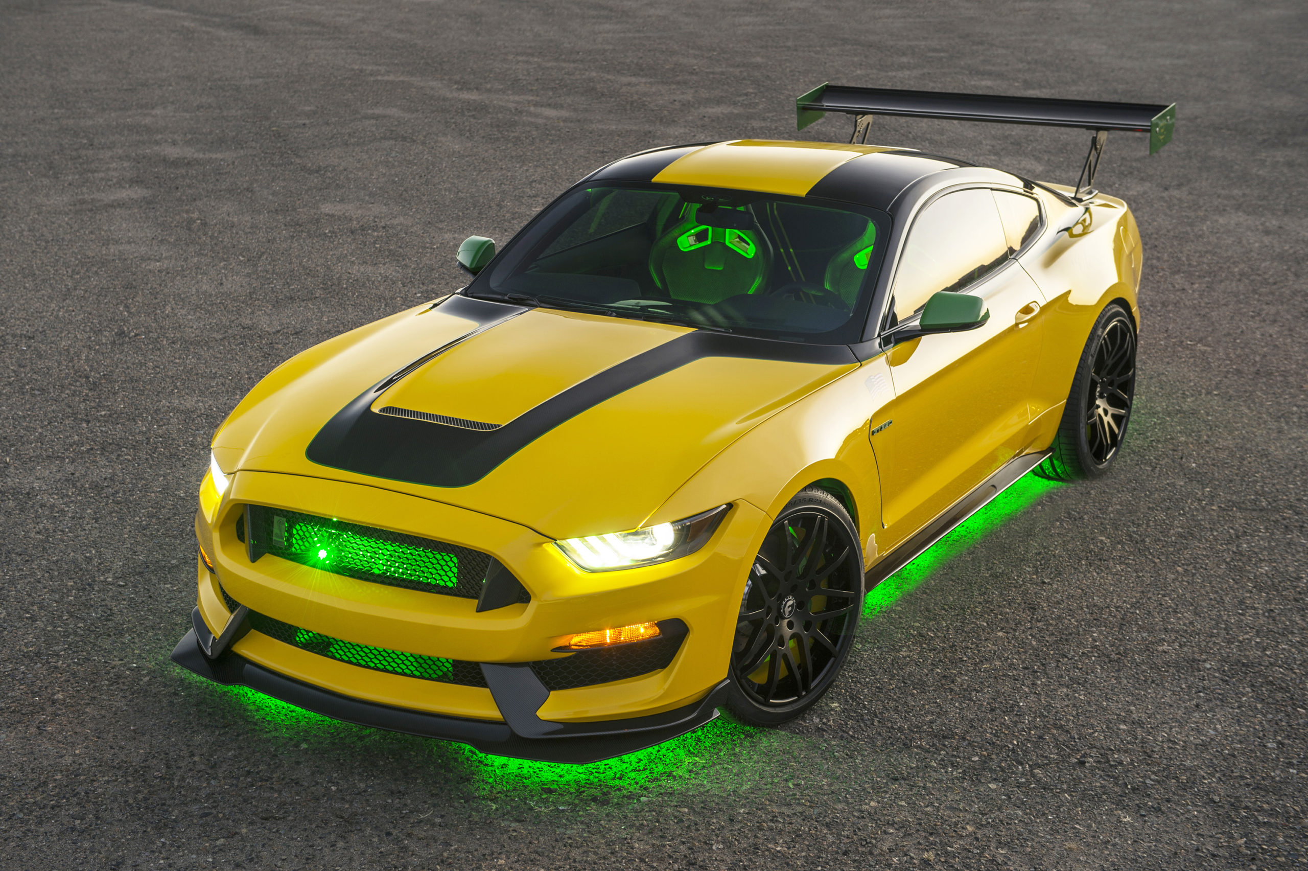 ole yeller