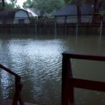 Flooding in a backyard near Houston