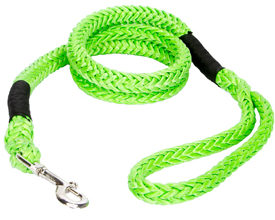 Daystar's VooDoo Offroad Leash for dogs (and not children).