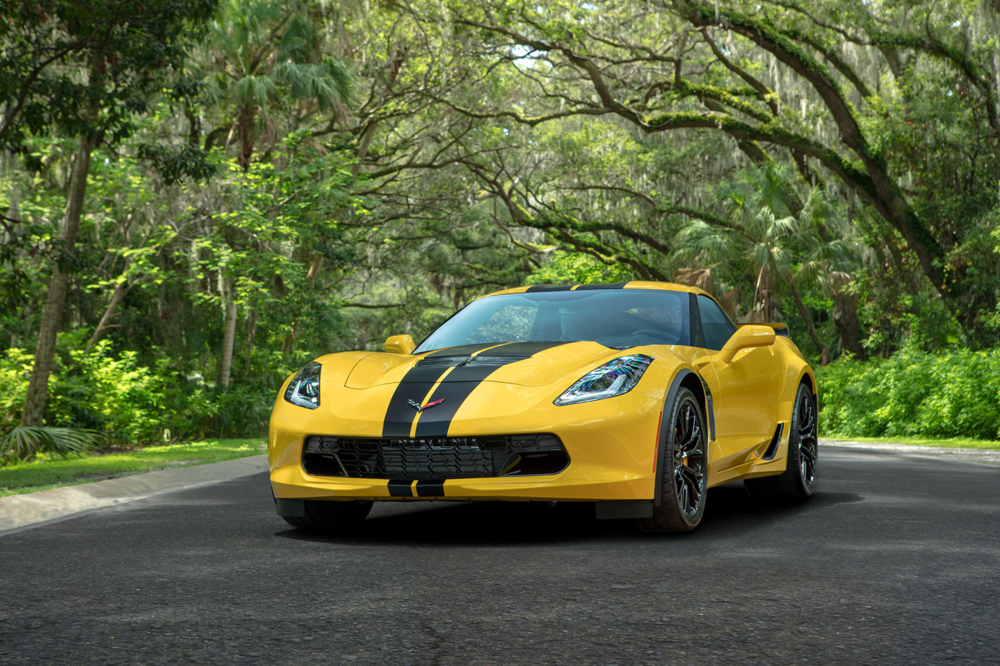 Hertz Z06