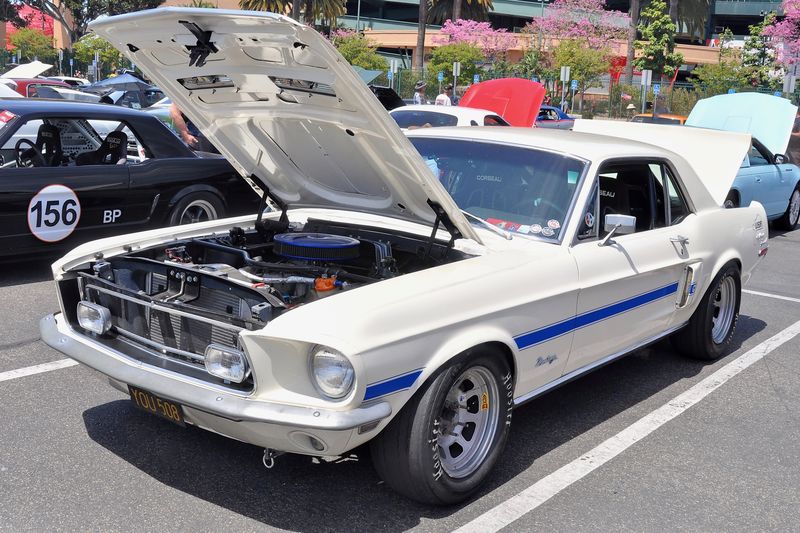 Fabulous Fords Forever