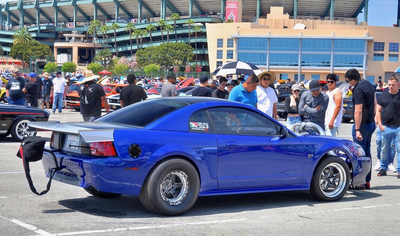 Fabulous Fords Forever