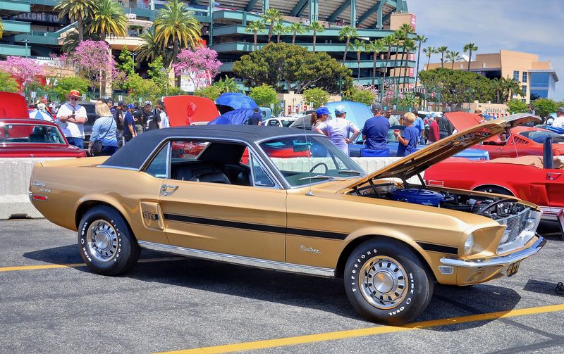 Fabulous Fords Forever