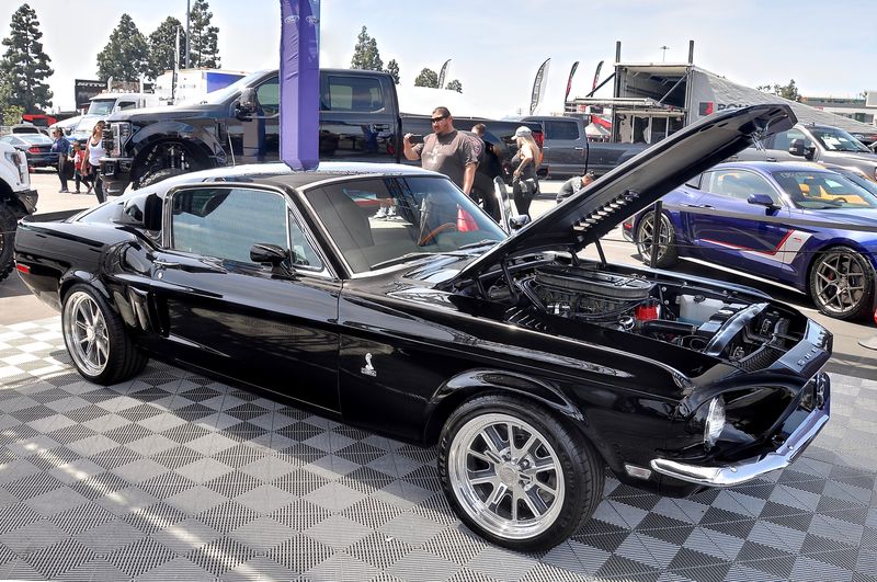 Fabulous Fords Forever