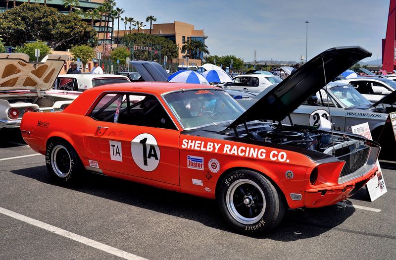 Fabulous Fords Forever