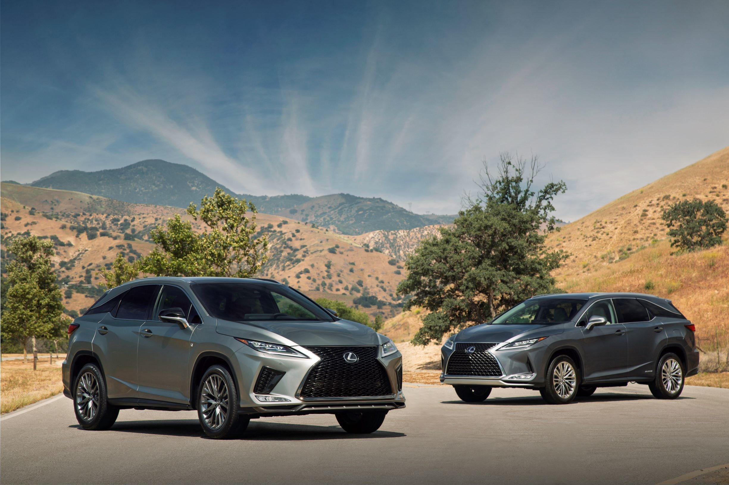 Lexus RX & RXL Updated for 2020 | THE SHOP