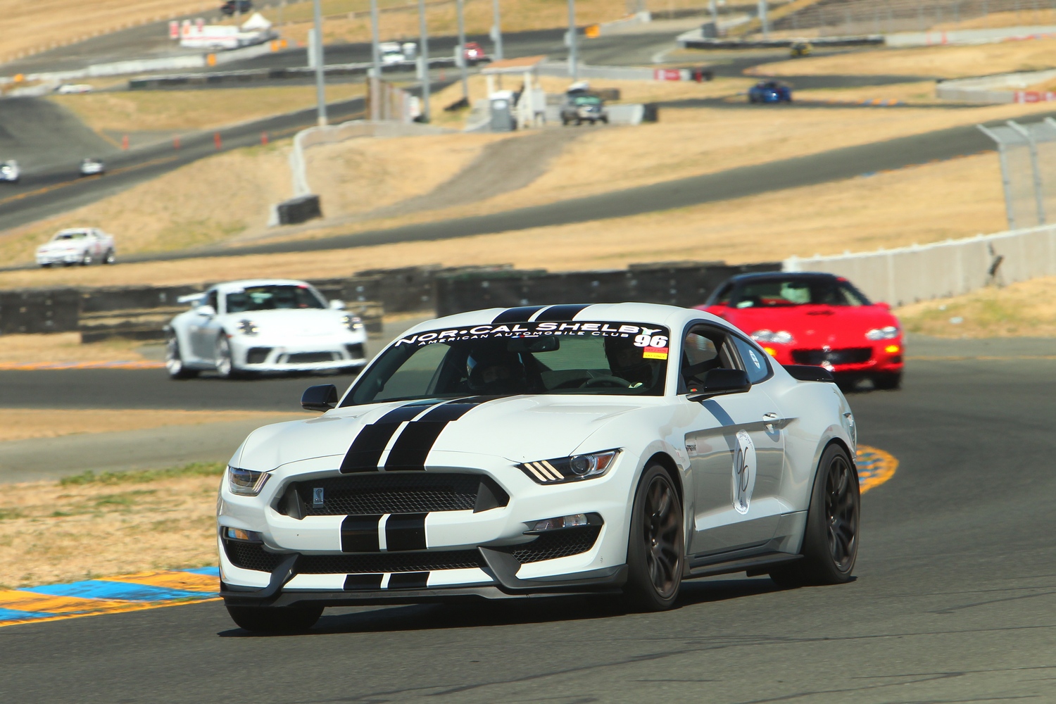 PHOTO GALLERY Nor Cal Shelby MiniNationals at Sonoma Raceway THE SHOP
