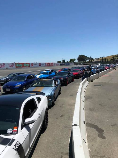 Nor Cal Shelby Mini-Nationals