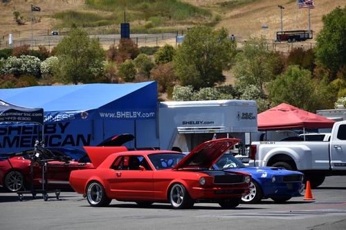 PHOTO GALLERY: Nor Cal Shelby Mini-Nationals at Sonoma Raceway - THE ...