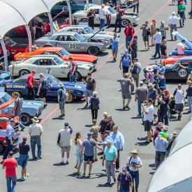 Sonoma Speed Festival Tickets Now on Sale | THE SHOP