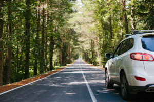 Survey: Most Americans Planning Summer Road Trips | THE SHOP