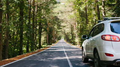 Survey: Most Americans Planning Summer Road Trips | THE SHOP