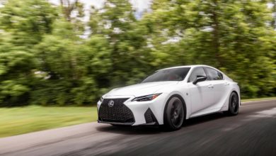 Wellness Travel Hits the Road with Lexus ‘Retreats in Motion’ | THE SHOP