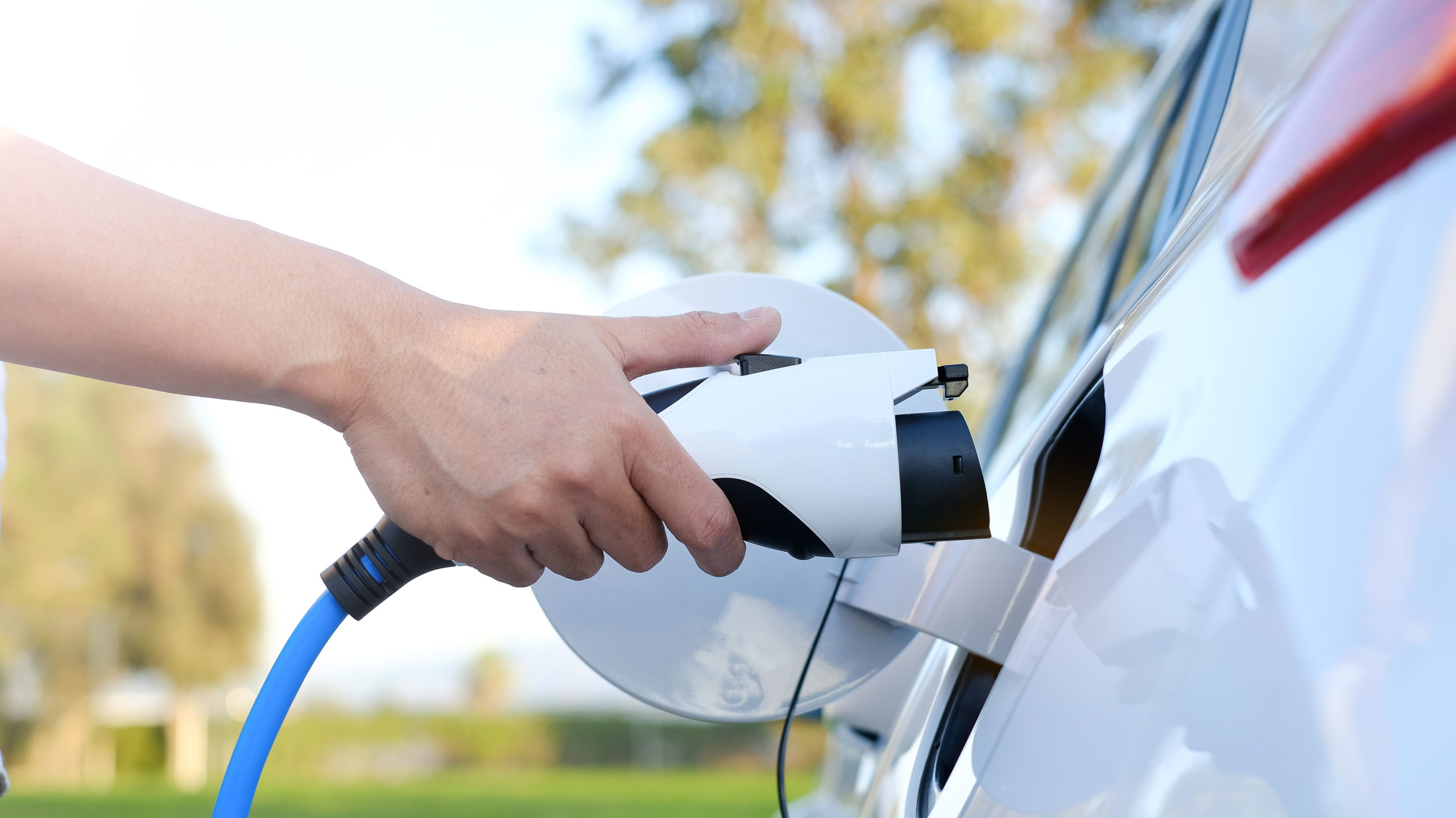 Survey: EV Consideration at Record High | THE SHOP