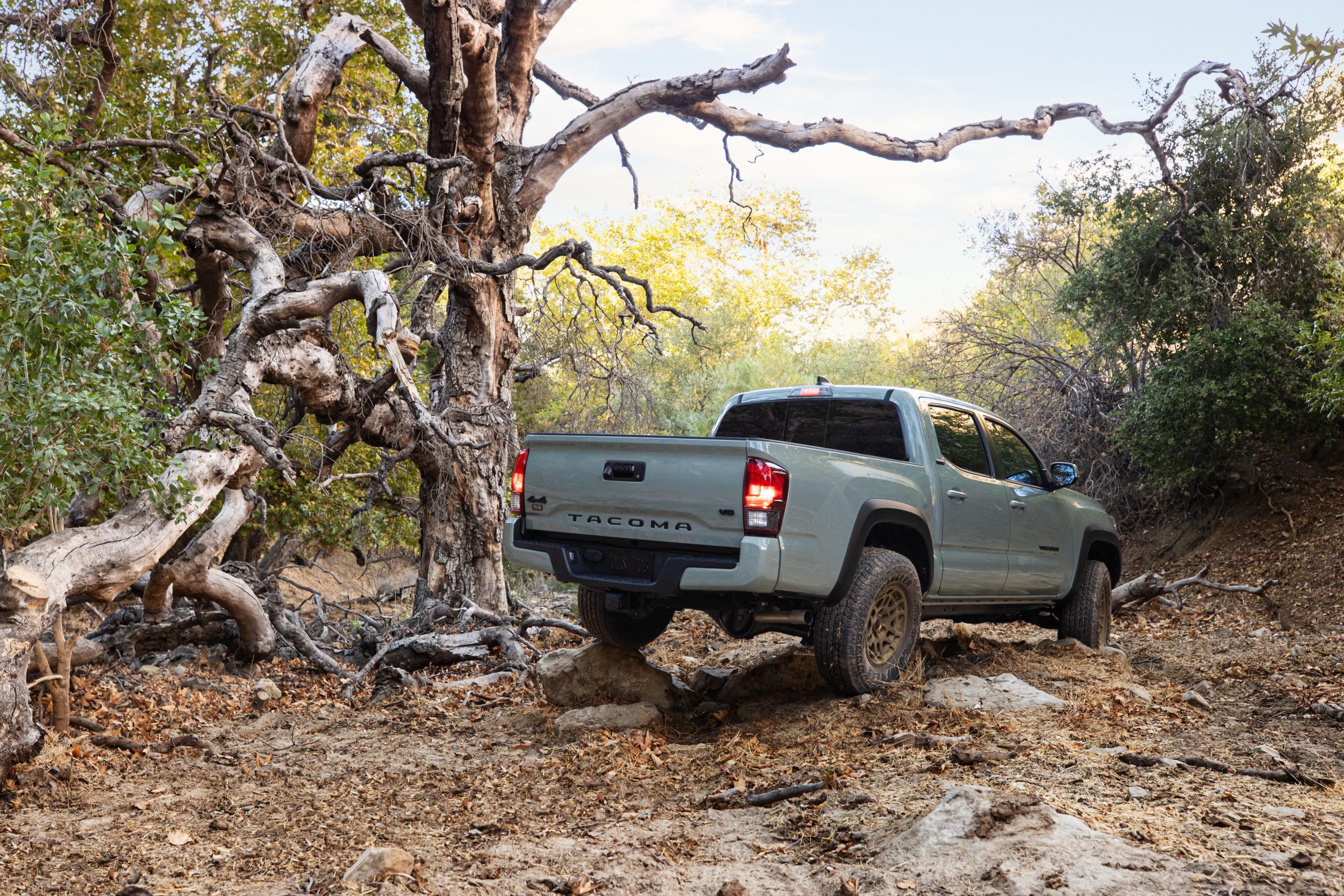 Toyota Tacoma Trail Edition Returns for 2022 | THE SHOP