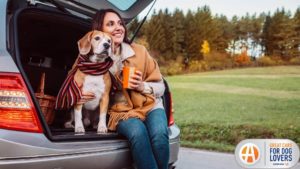 Autotrader Reveals 2021 List of Best New Cars for Dog Lovers | THE SHOP