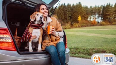 Autotrader Reveals 2021 List of Best New Cars for Dog Lovers | THE SHOP
