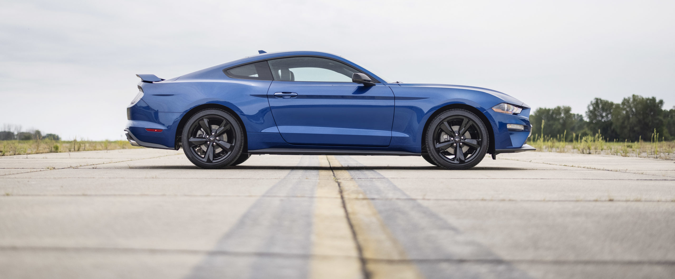 Stealth Edition, California Special GT Packages Join Mustang Lineup | THE SHOP