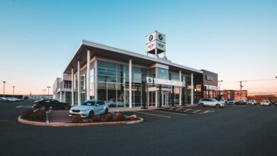 The Companies Taking Over the Car Dealership Industry | THE SHOP