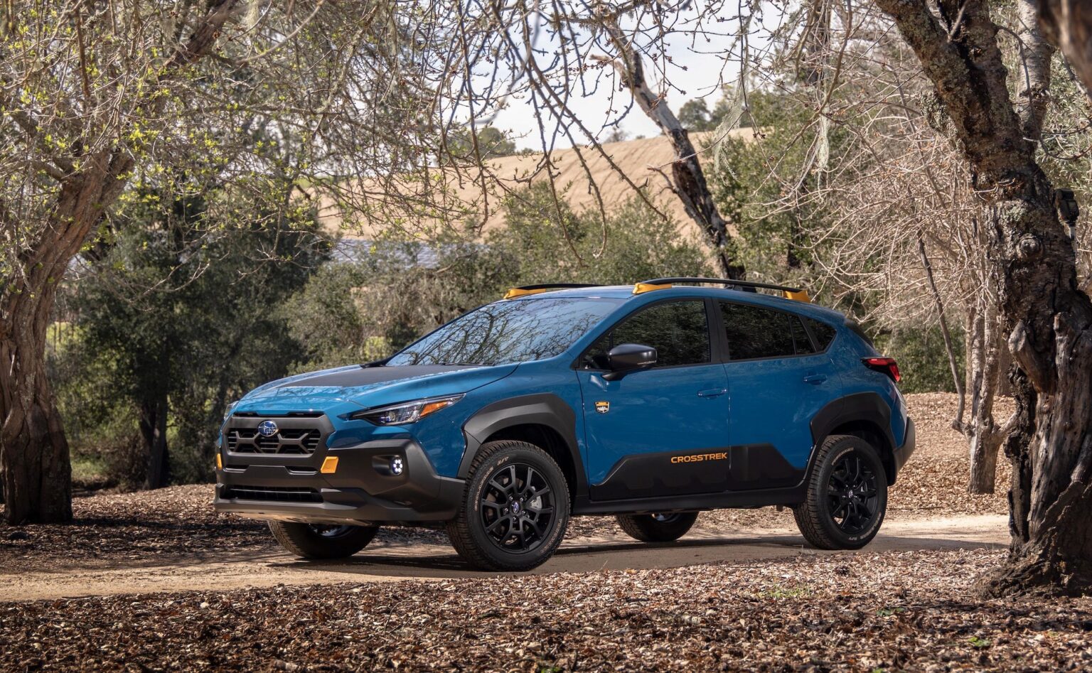 2025 Subaru Crosstrek Wilderness Release Date Donni Suzette