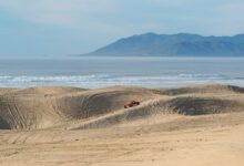 SEMA, EcoLogic Partners File Lawsuit Over Oceano Dunes SVRA | THE SHOP