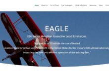 Fly Eagle website