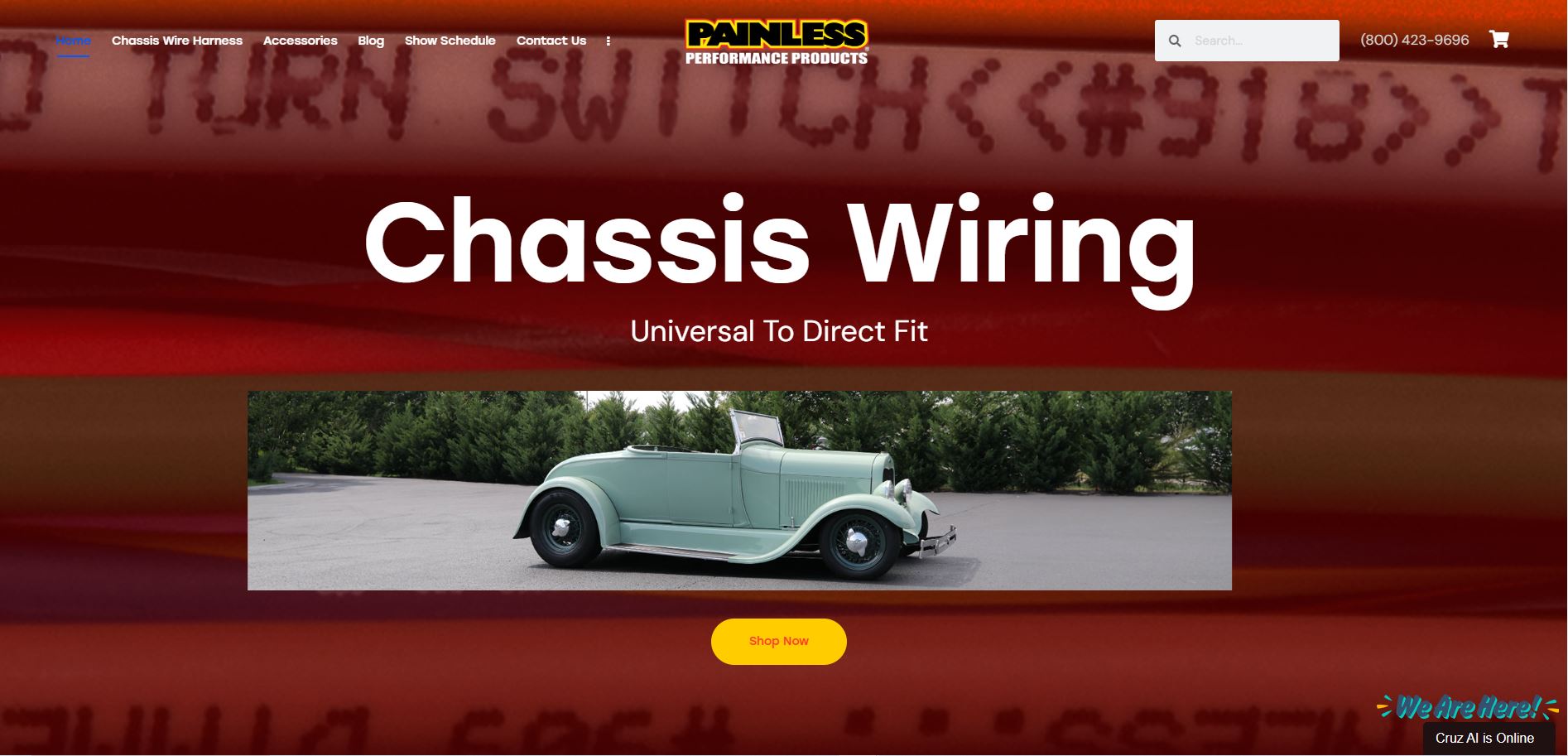 Painless Performance Products Launches New Website | THE SHOP