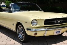 AACF Sweepstakes Mustang