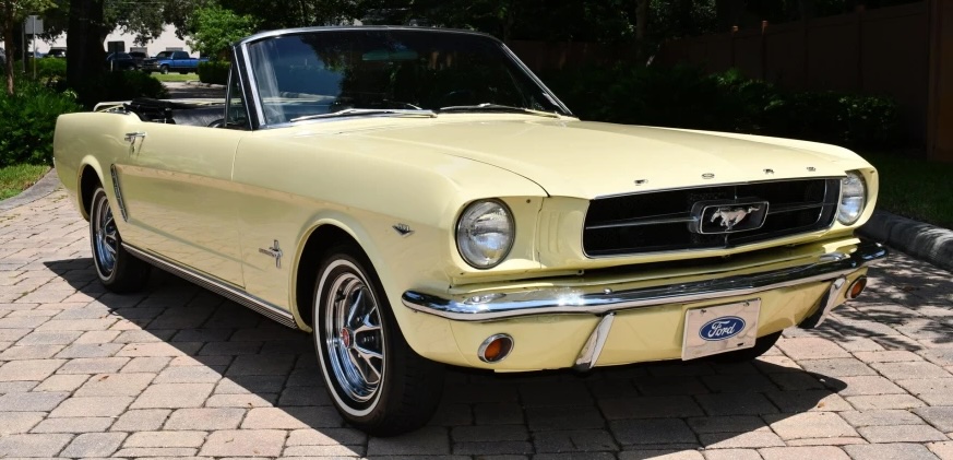 AACF Sweepstakes Mustang