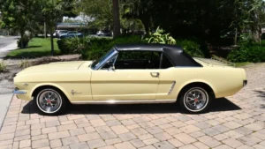 AACF Sweepstakes Mustang