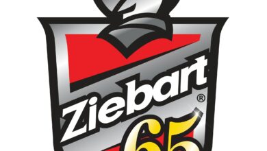 Ziebart 65th Anniversary Logo