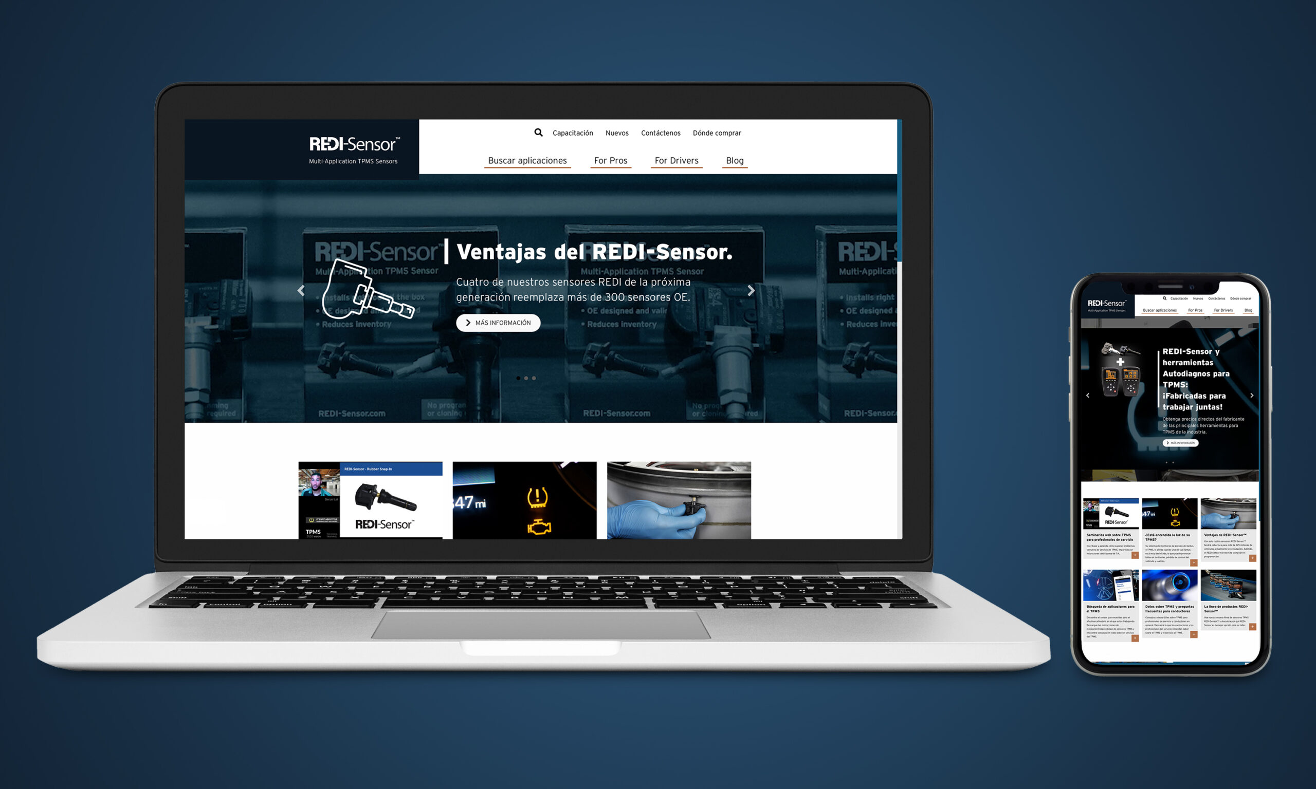 REDI-Sensor Spanish website