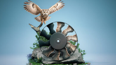 mahle fan/owl graphic