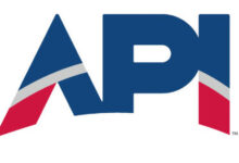 API Logo