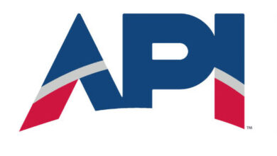 API Logo