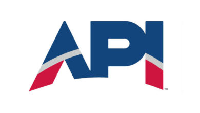 API Logo