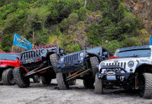 Jeeps Jeeping, flag, beach and trees