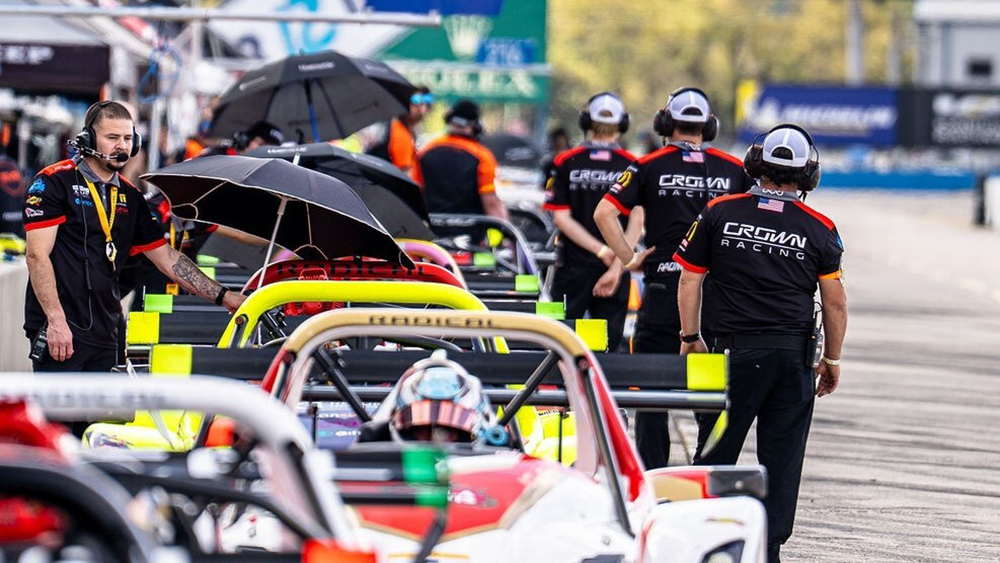 Radical and Crown at races