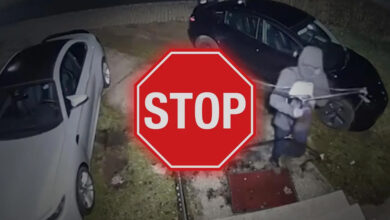 Stop Sign over person trying to break into car
