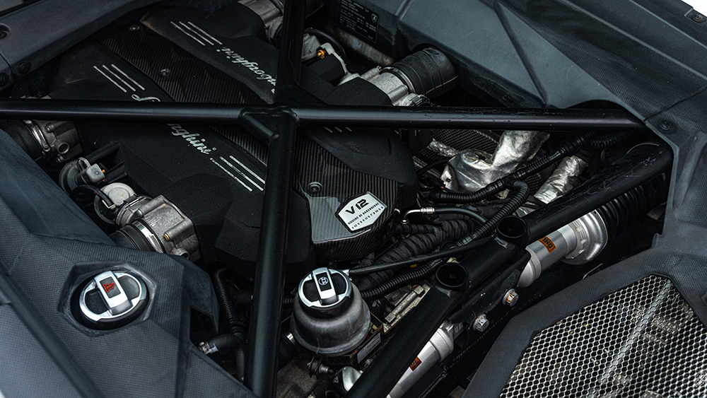 2011 Aventador Coupè (Model Year 2012) engine