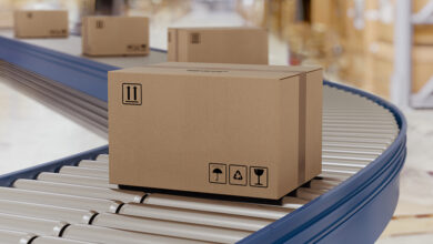 Cardboard boxes on conveyor rollers