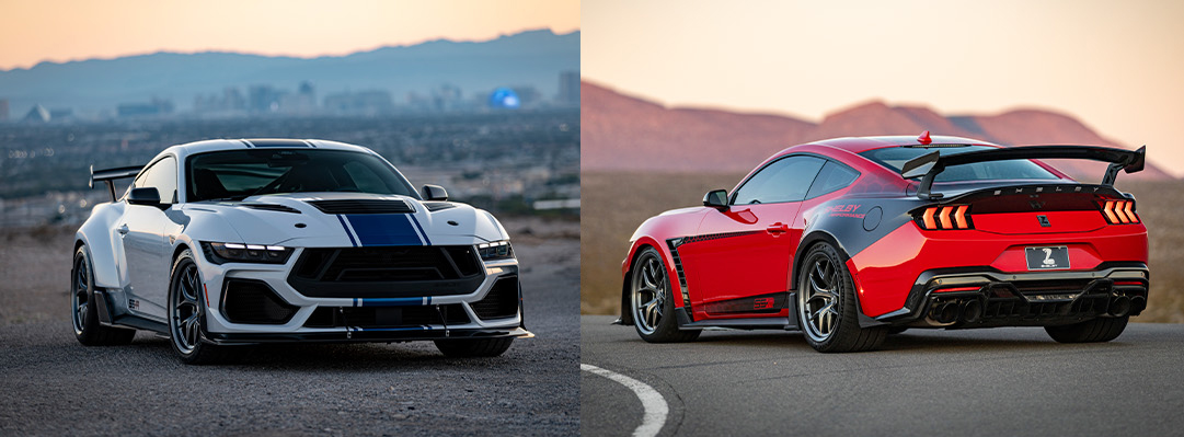 White and Red Shelby Super Snake-R Mustangs parked at sunset