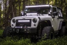 aftermarket lighting rough country white jeep in weeds with light bars