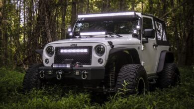 aftermarket lighting rough country white jeep in weeds with light bars