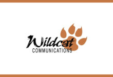 Wildcat Communications Logo feature