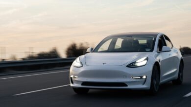 reddit tesla white car on road
