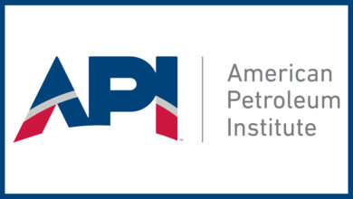 API Logo