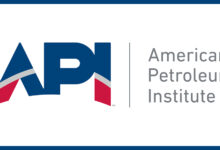 API Logo