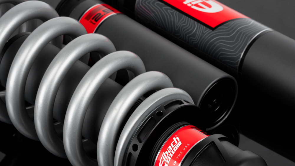 Closeup of Eibach springs